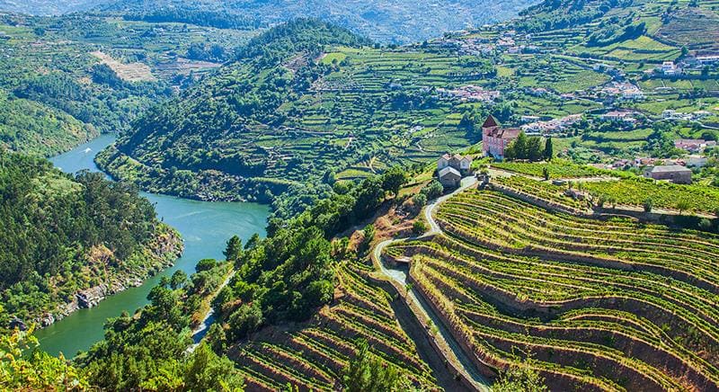 Les vignobles du Douro pour vivre dans le nord du Portugal