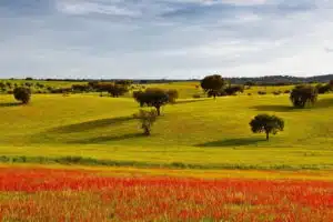 Venir habiter dans l'Alentejo