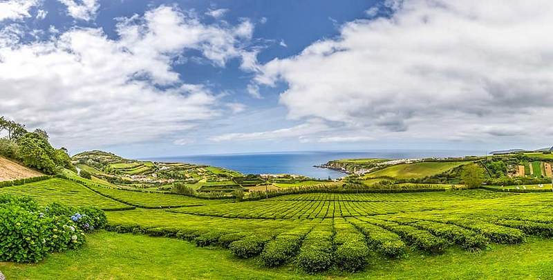 Les Açores, une région verdoyante du Portugal