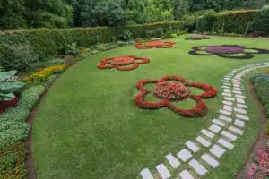 Beau jardin au parc Terra Nostra, Sao Miguel, Açores