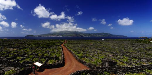 Les vignobles de Pico inscrits sur la Liste du patrimoine mondial, île de Pico, Açores, Portugal
