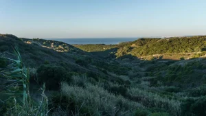 Magnifique paysage pittoresque avec des collines verdoyantes dans le parc naturel de Sintra Cascais, sur la côte atlantique, à Sintra, Lisbonne, Portugal.